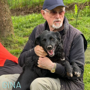 Gina is four years old, fully vaccinated, neutered and loves dogs and people. She shows little interest in Honey the kennel cat and is looking for a family to call her own. She has an abundance of love to give and will make the most amazing loyal companion. She will need a little bit of help with harness and the training and she is ready to run straight into your heart.